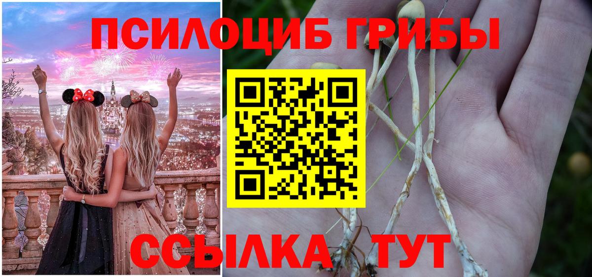 Кириши  Псилоцибиновые грибы мицелий  Галлюциногенные грибы Psilocybine cubensis  Вход с VPN 